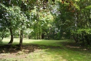 chemin vers piscine-min