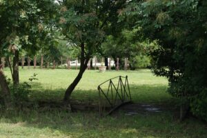 vue du jardin du gîte_3-min